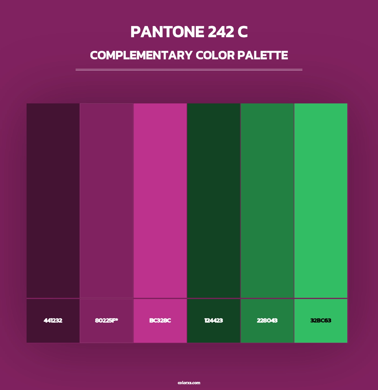 PANTONE 242 C - Complementary Color Palette