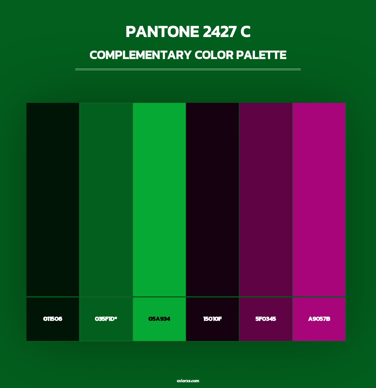 PANTONE 2427 C - Complementary Color Palette