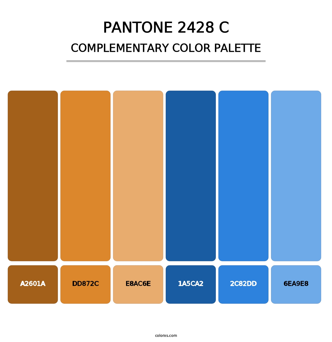 PANTONE 2428 C - Complementary Color Palette