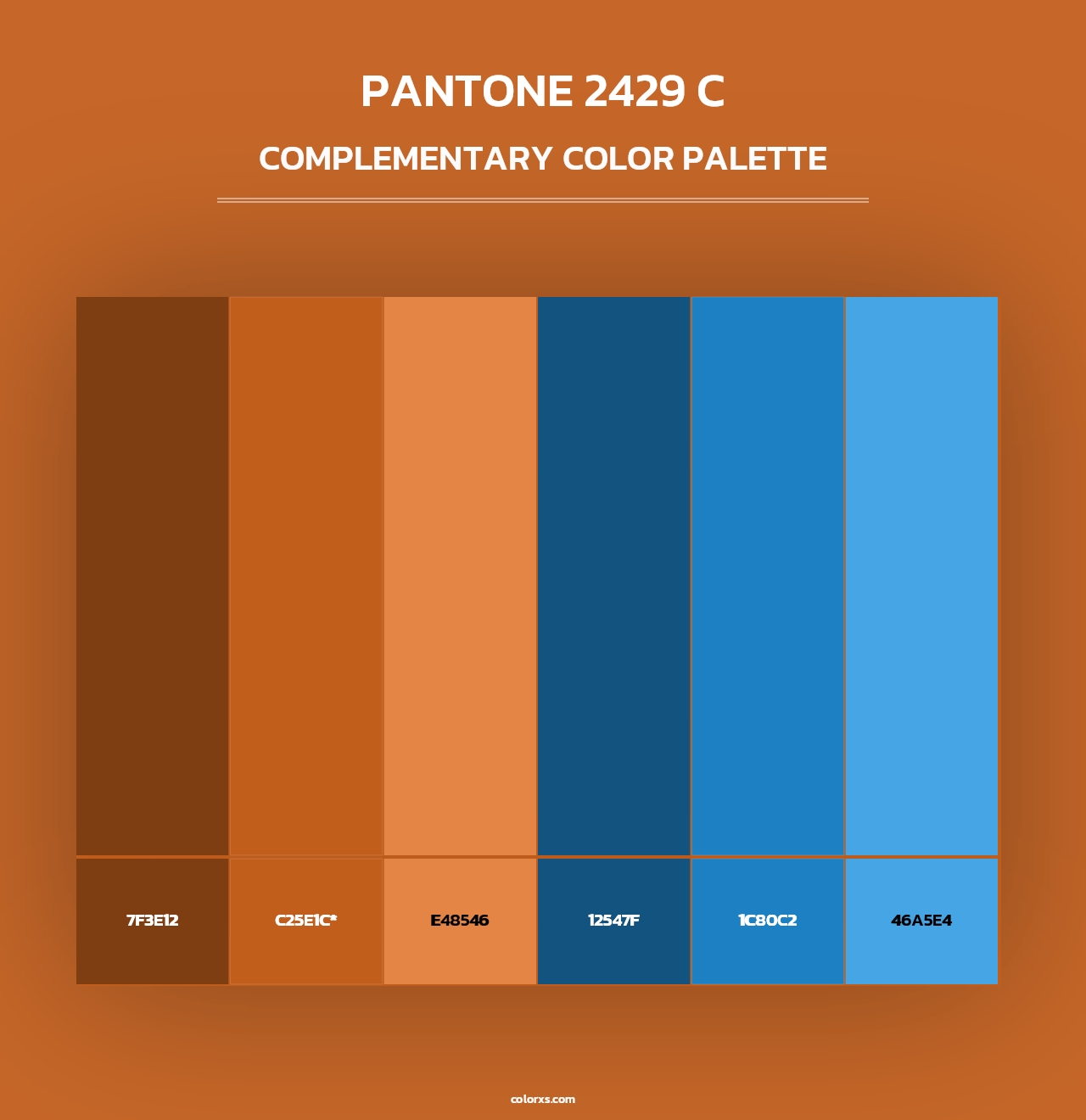 PANTONE 2429 C - Complementary Color Palette