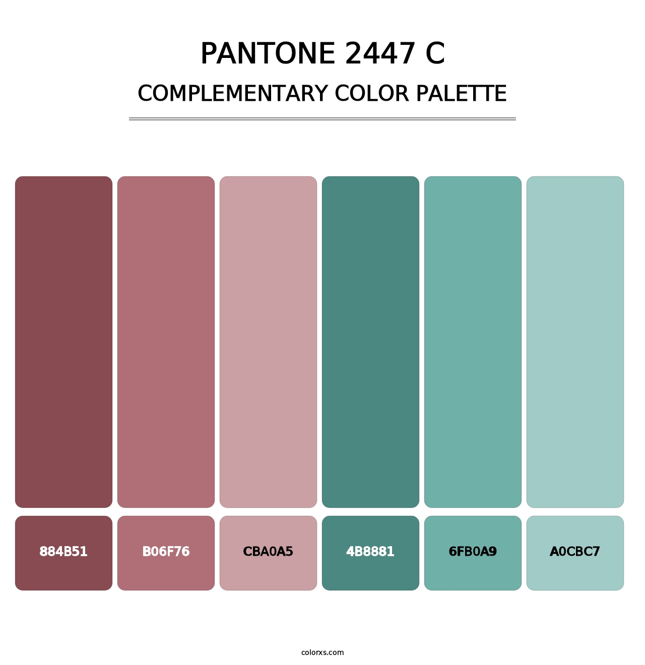 PANTONE 2447 C - Complementary Color Palette