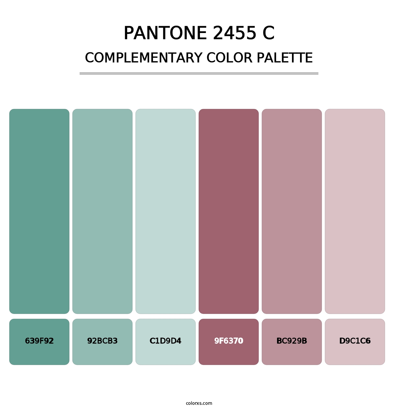 PANTONE 2455 C - Complementary Color Palette