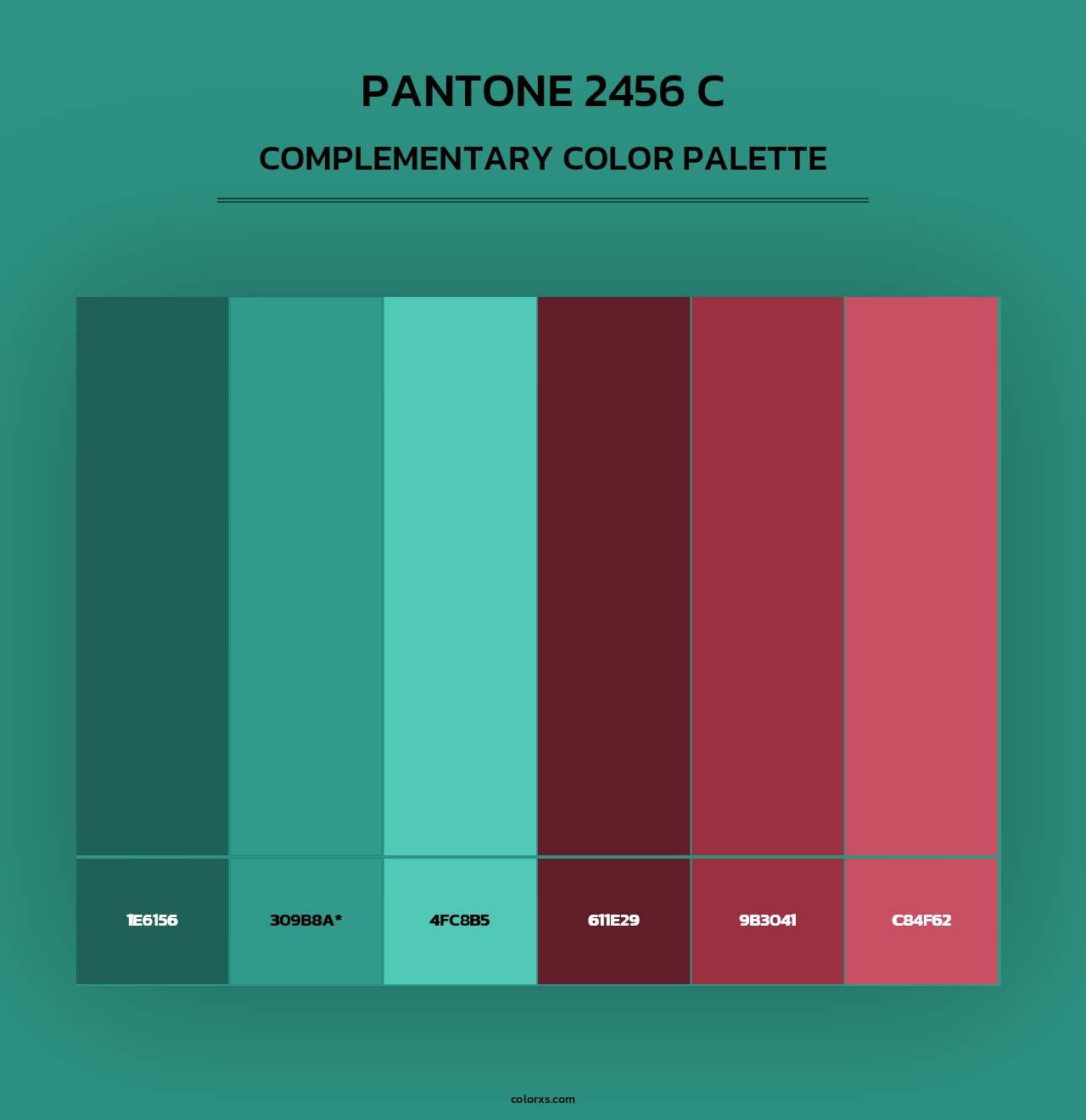 PANTONE 2456 C - Complementary Color Palette