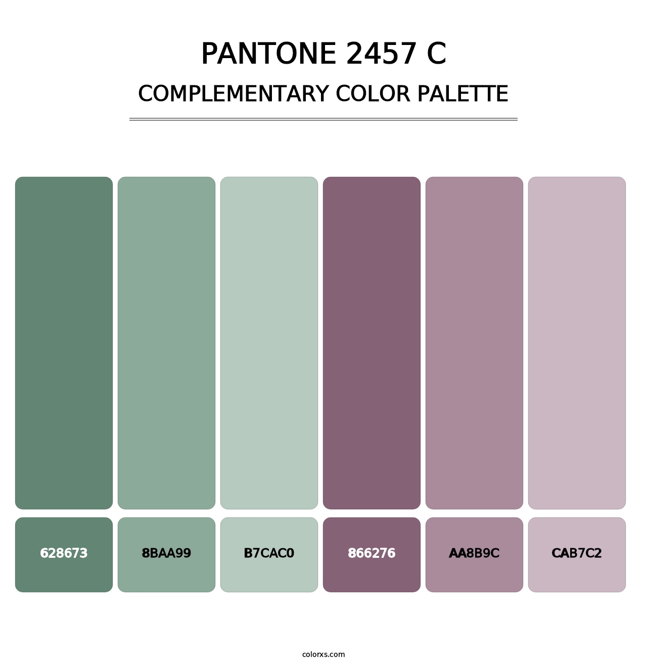 PANTONE 2457 C - Complementary Color Palette