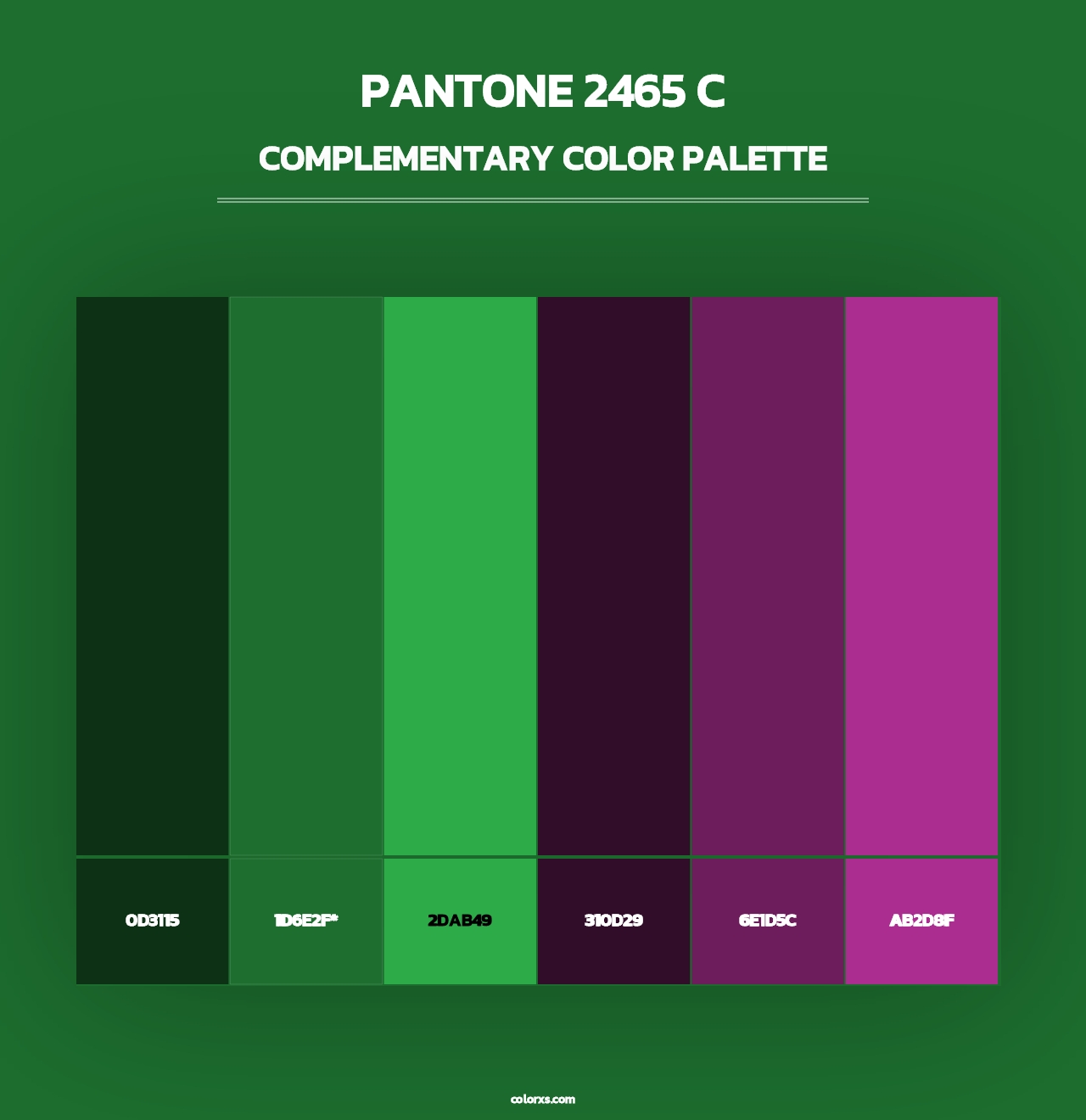 PANTONE 2465 C - Complementary Color Palette