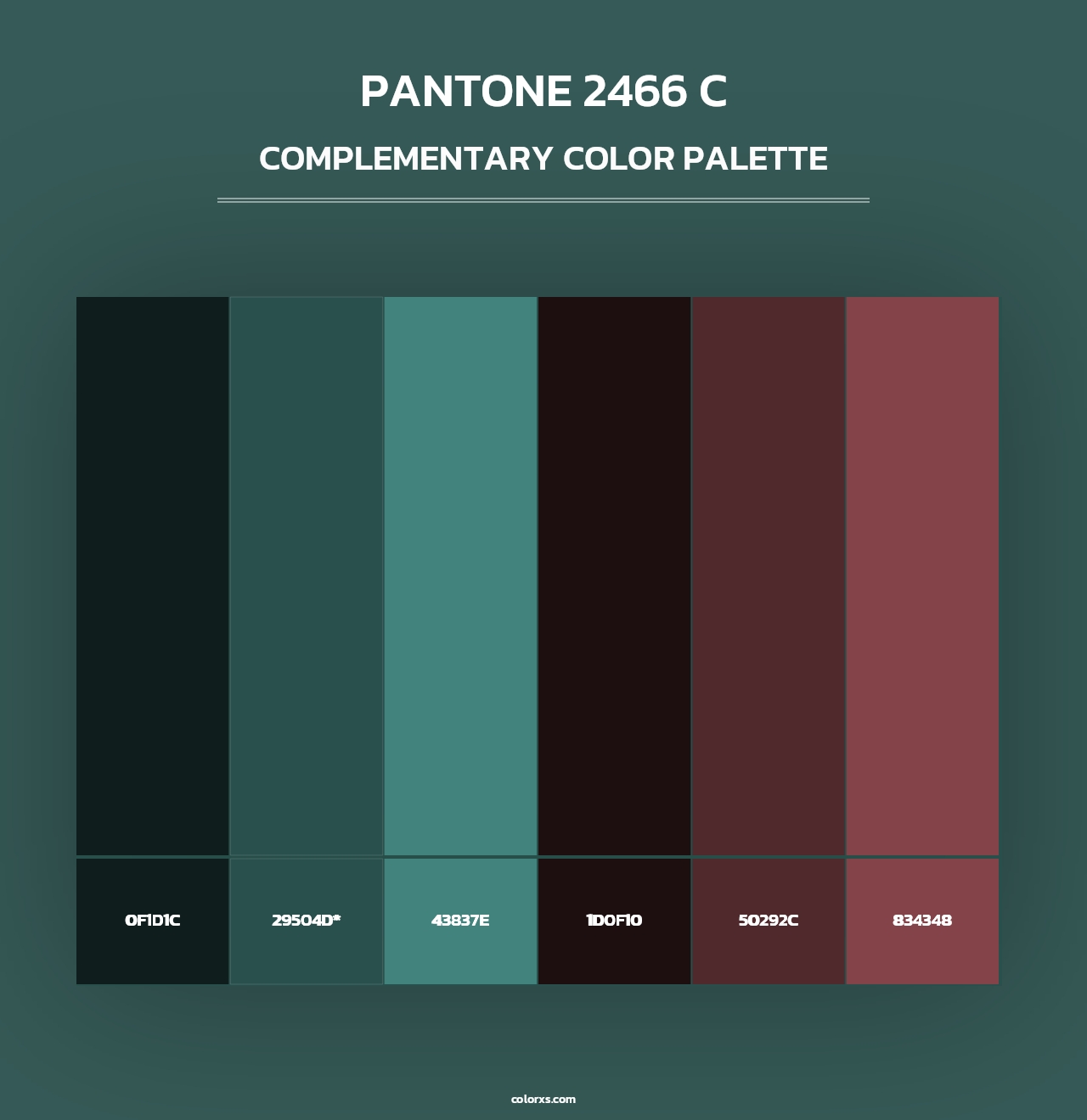 PANTONE 2466 C - Complementary Color Palette