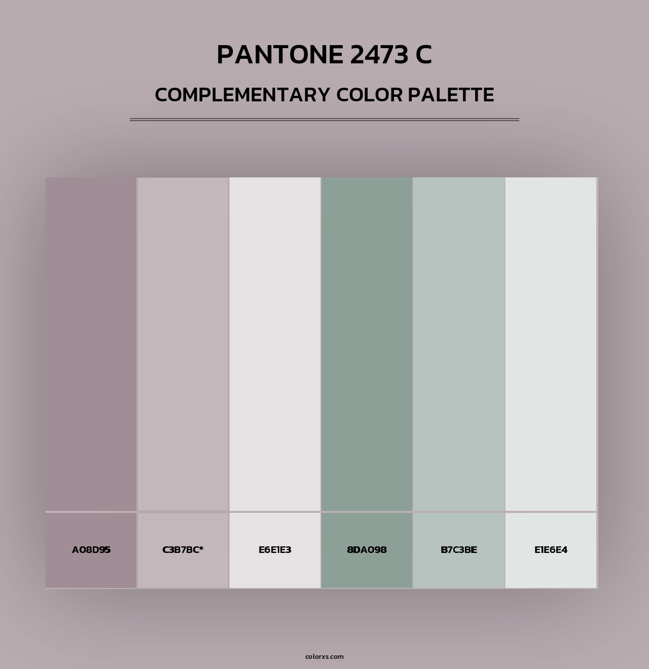 PANTONE 2473 C - Complementary Color Palette