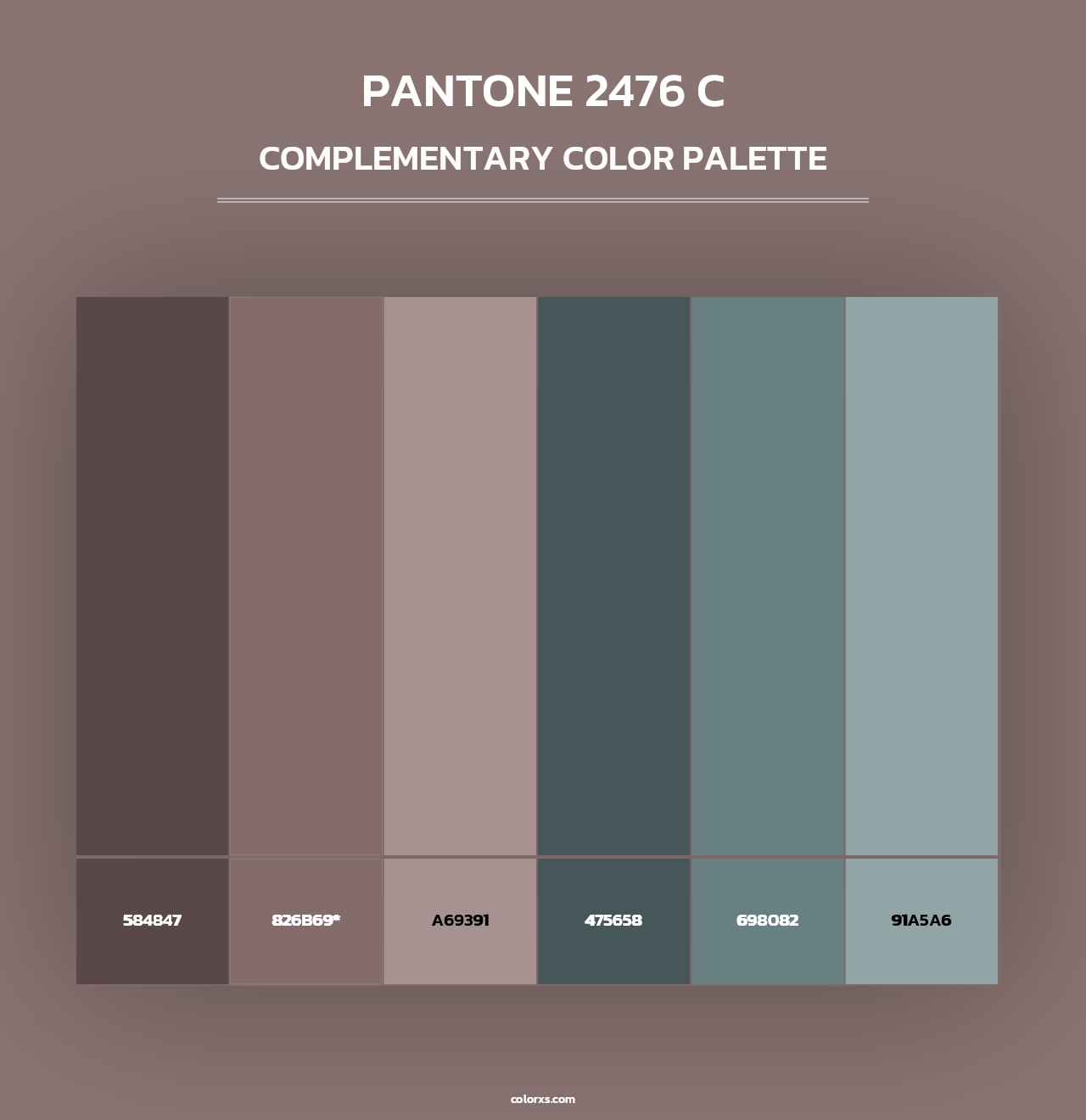 PANTONE 2476 C - Complementary Color Palette