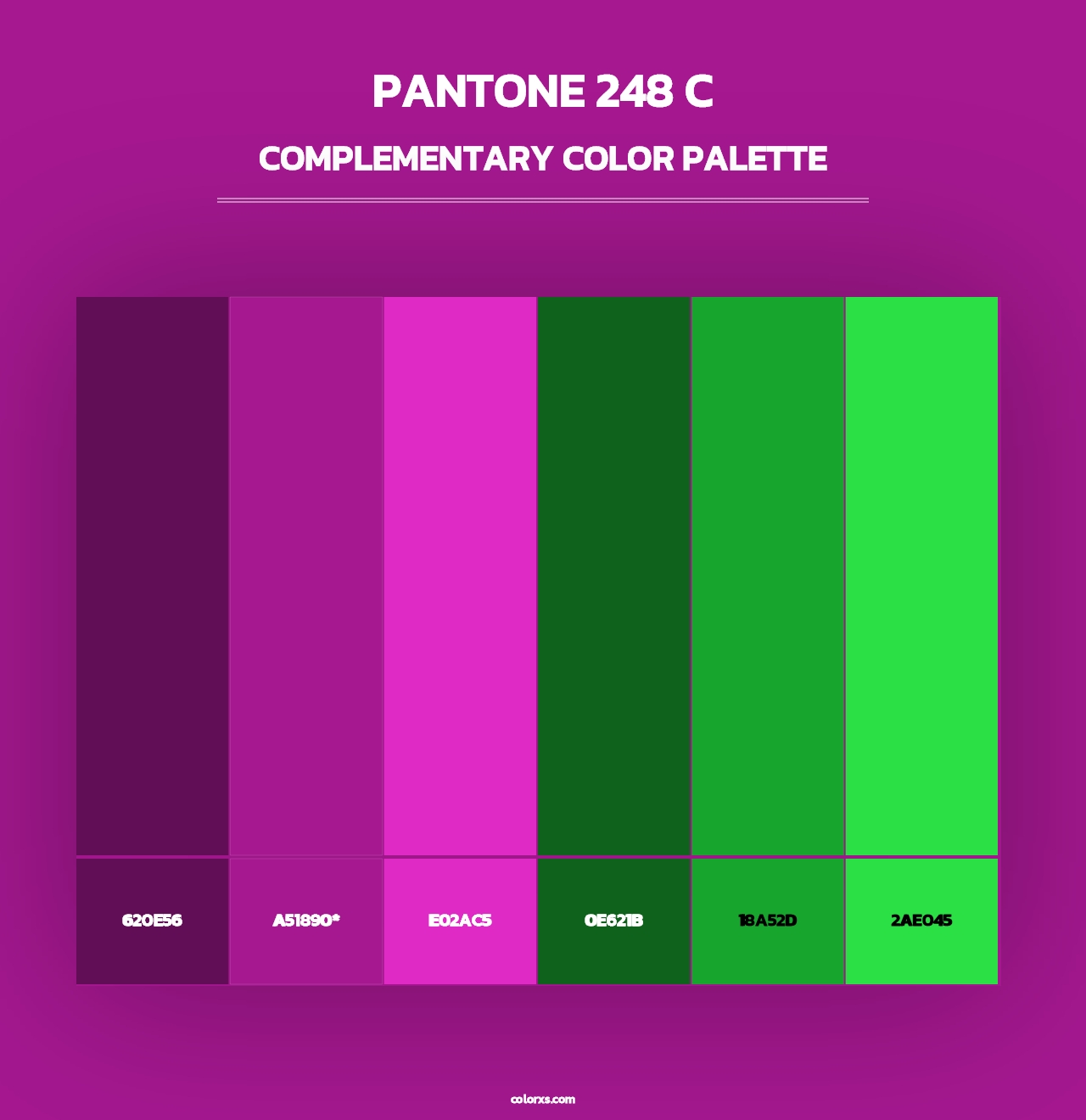 PANTONE 248 C - Complementary Color Palette