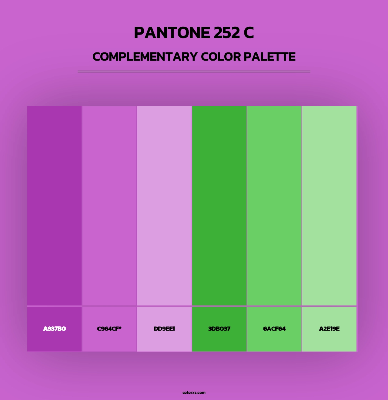 PANTONE 252 C - Complementary Color Palette