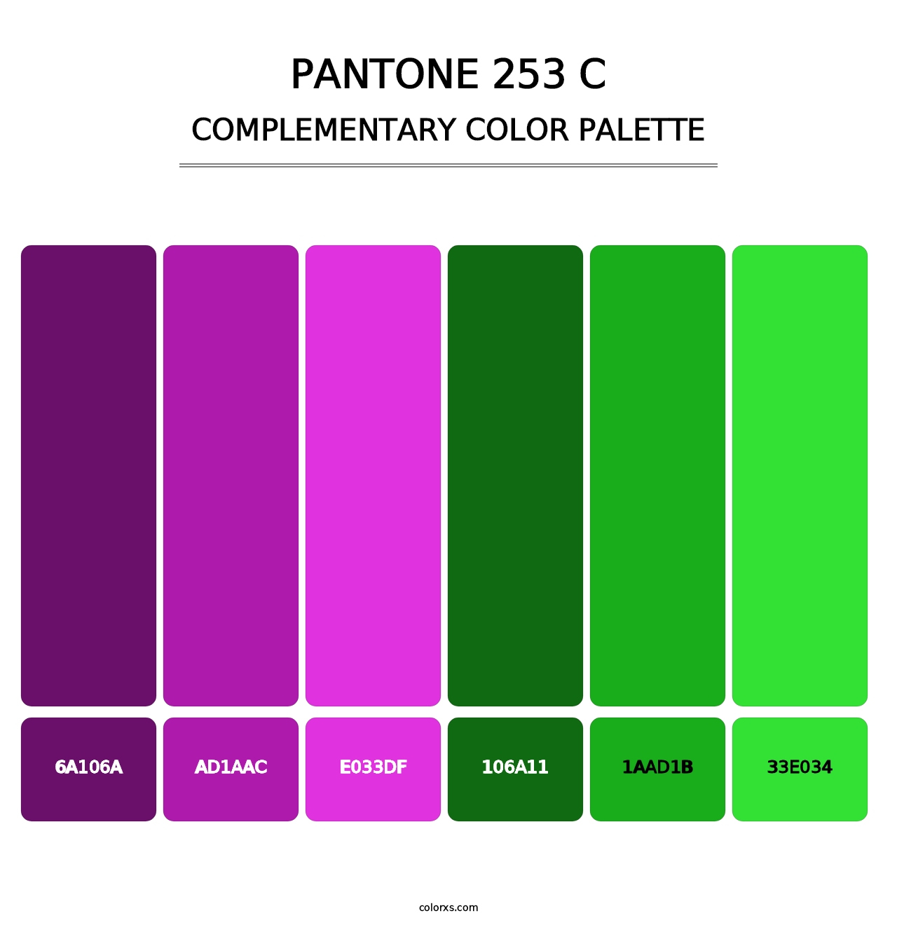 PANTONE 253 C - Complementary Color Palette