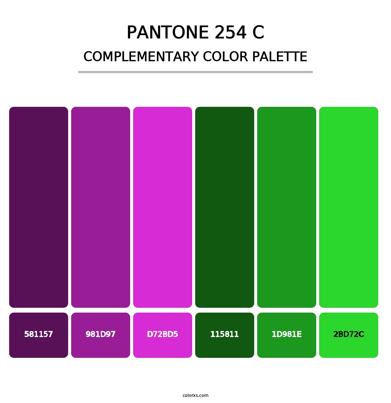 PANTONE 254 C - Complementary Color Palette