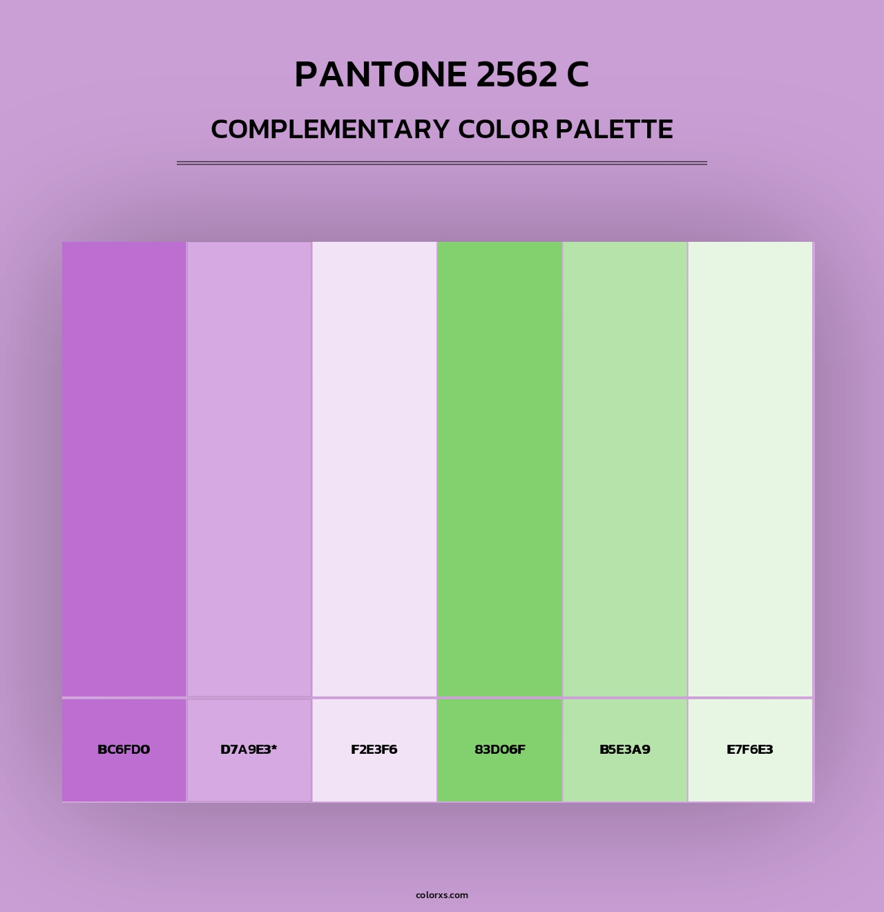 PANTONE 2562 C - Complementary Color Palette