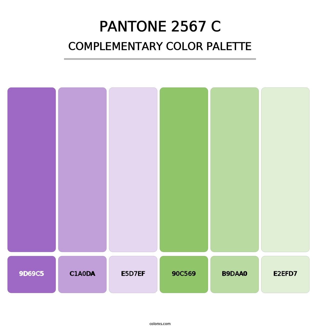 PANTONE 2567 C - Complementary Color Palette