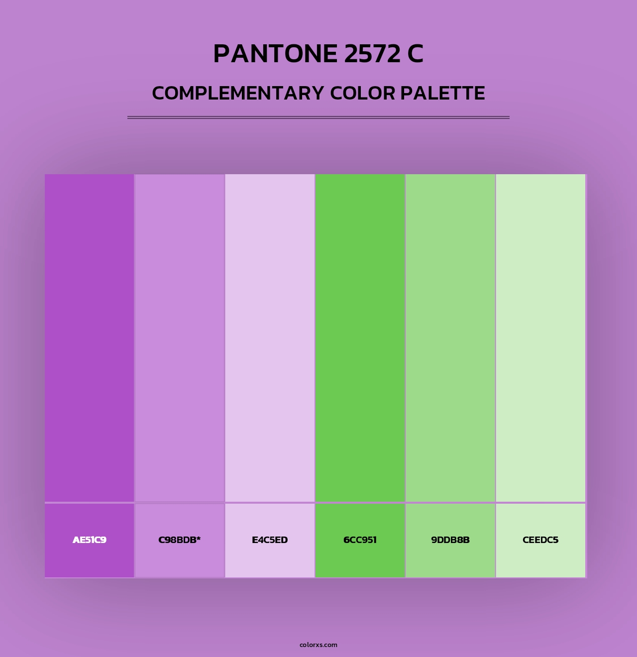 PANTONE 2572 C - Complementary Color Palette