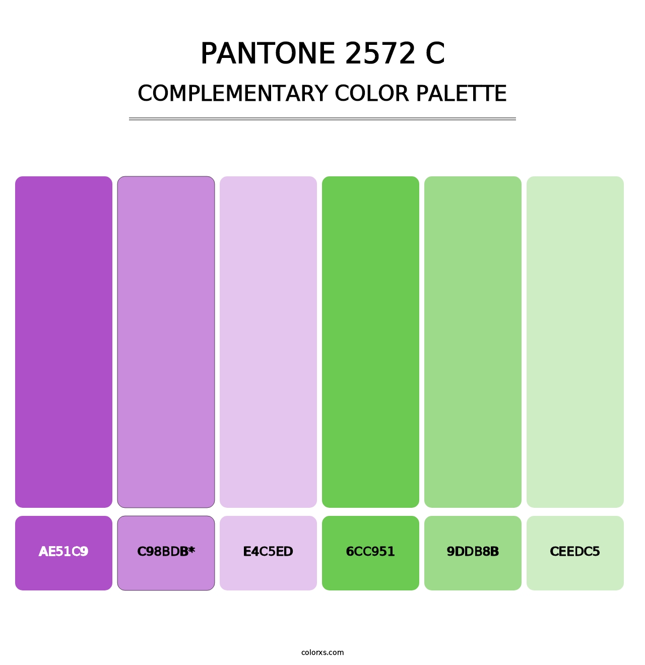 PANTONE 2572 C - Complementary Color Palette