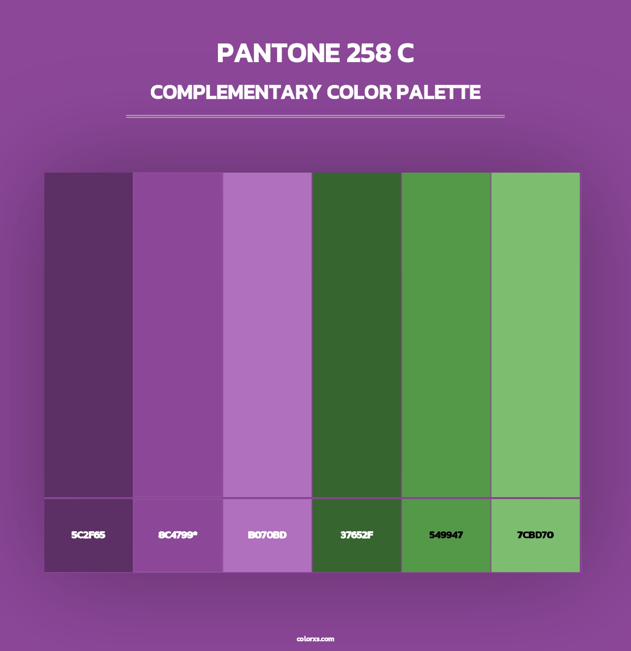 PANTONE 258 C - Complementary Color Palette
