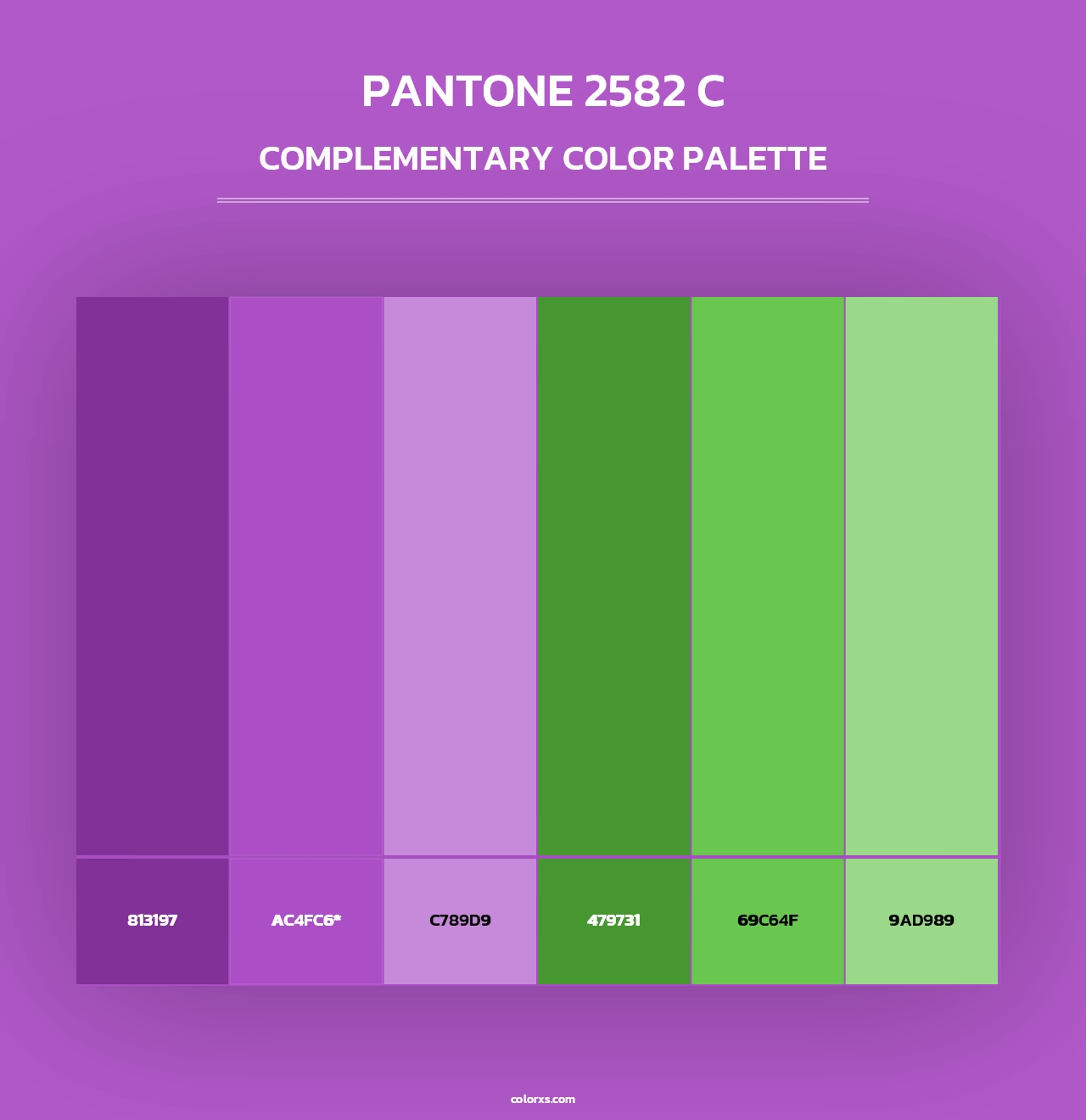 PANTONE 2582 C - Complementary Color Palette