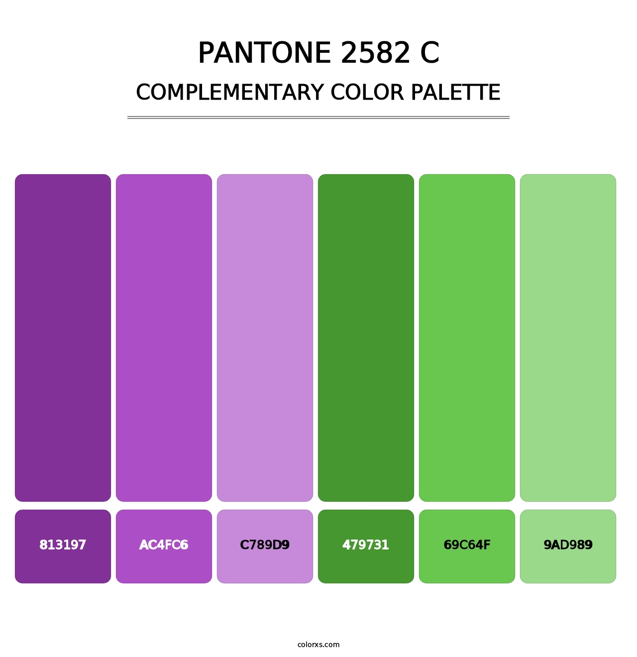 PANTONE 2582 C - Complementary Color Palette