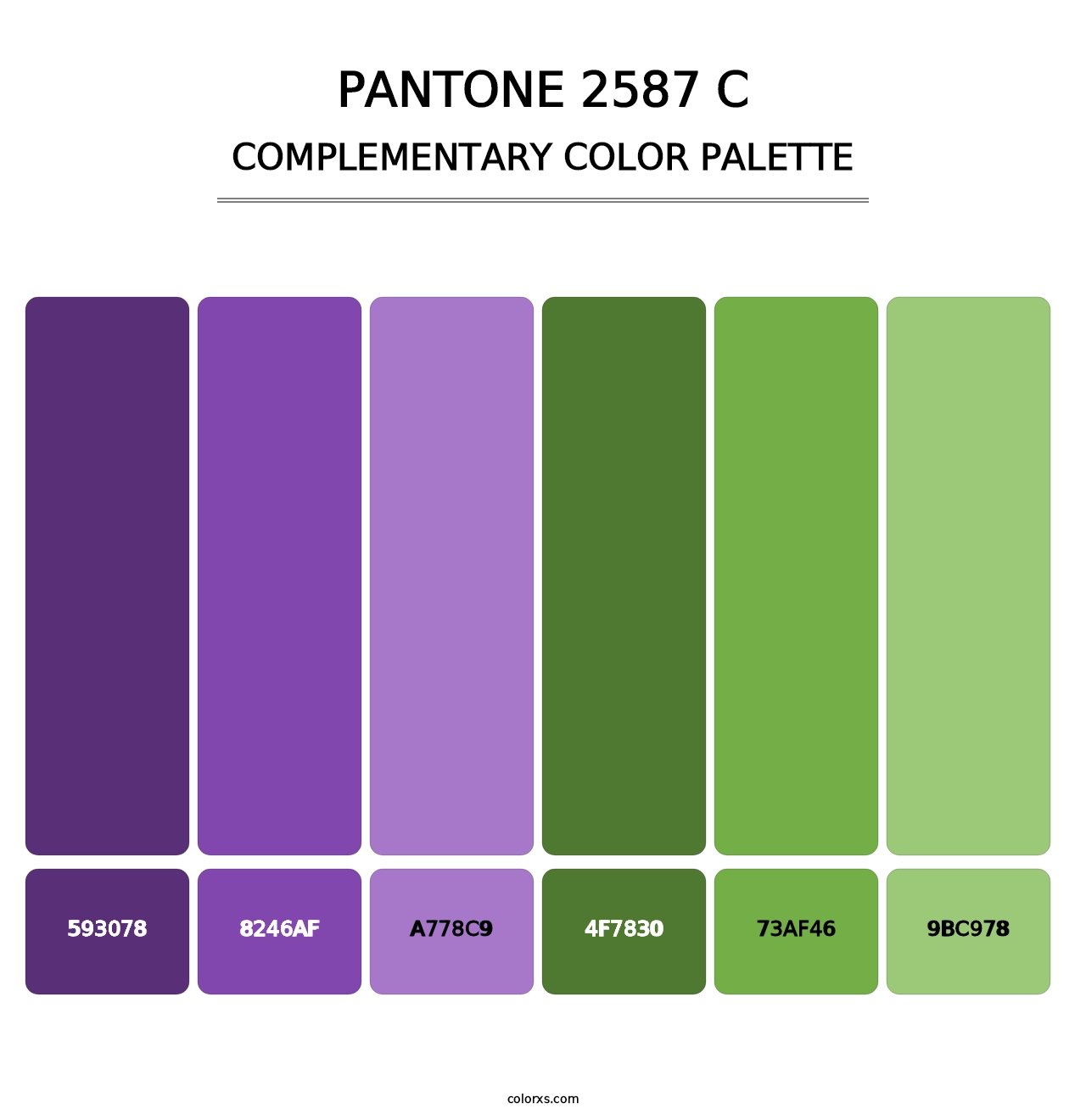 PANTONE 2587 C - Complementary Color Palette