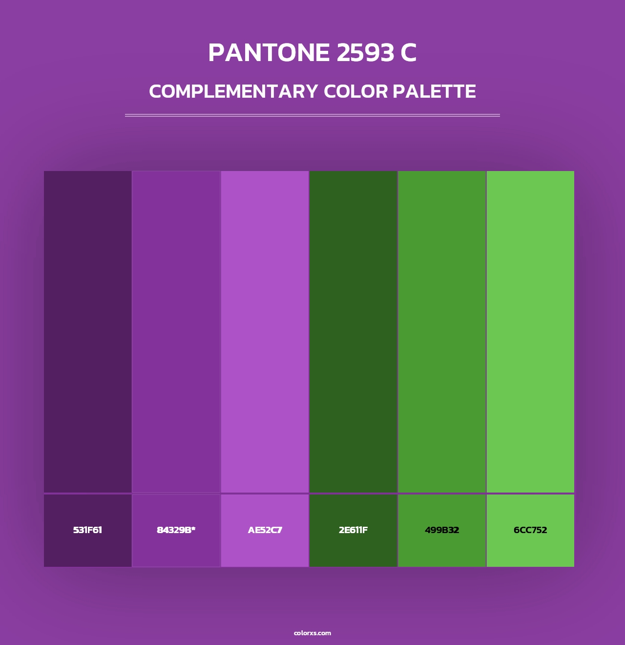 PANTONE 2593 C - Complementary Color Palette