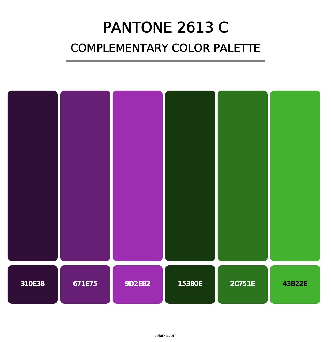 PANTONE 2613 C - Complementary Color Palette