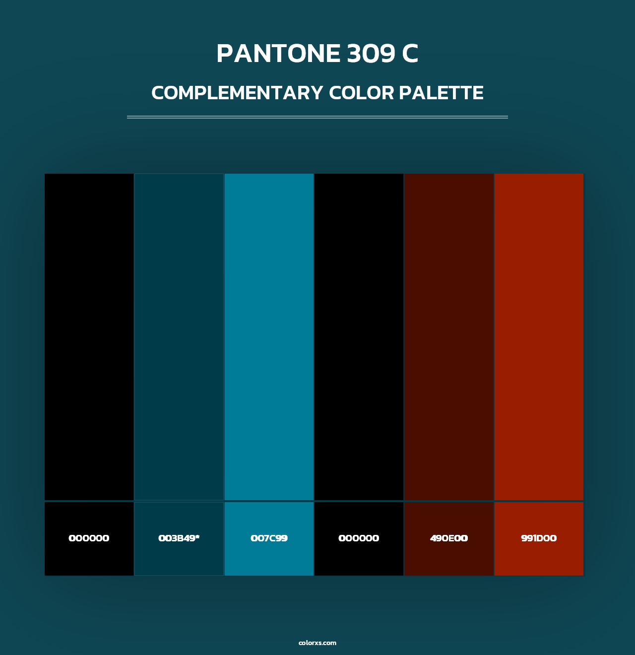 PANTONE 309 C - Complementary Color Palette