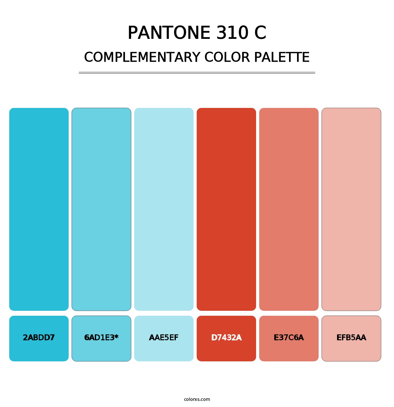 PANTONE 310 C - Complementary Color Palette