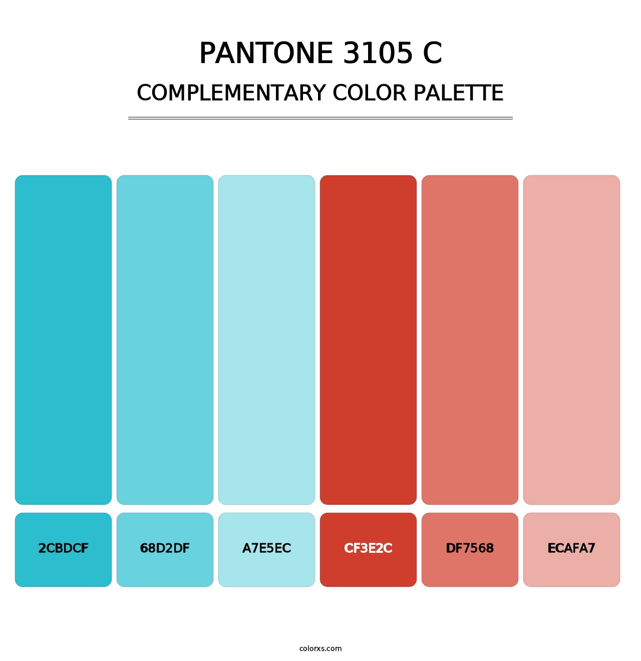 PANTONE 3105 C - Complementary Color Palette