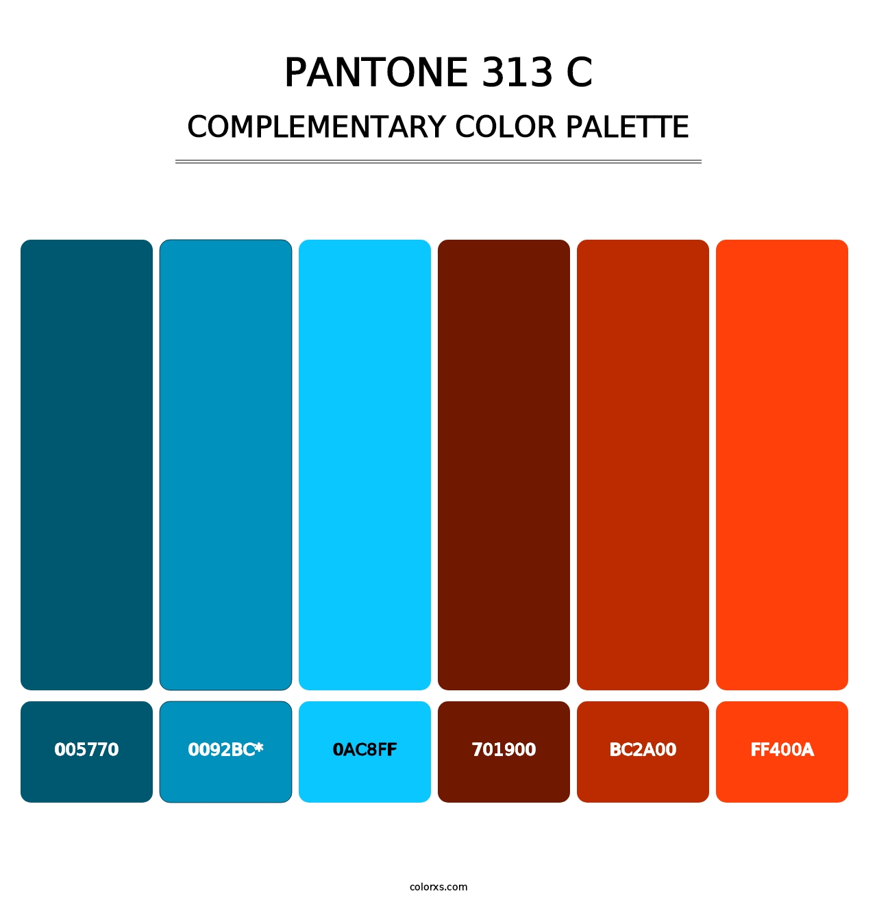 PANTONE 313 C - Complementary Color Palette