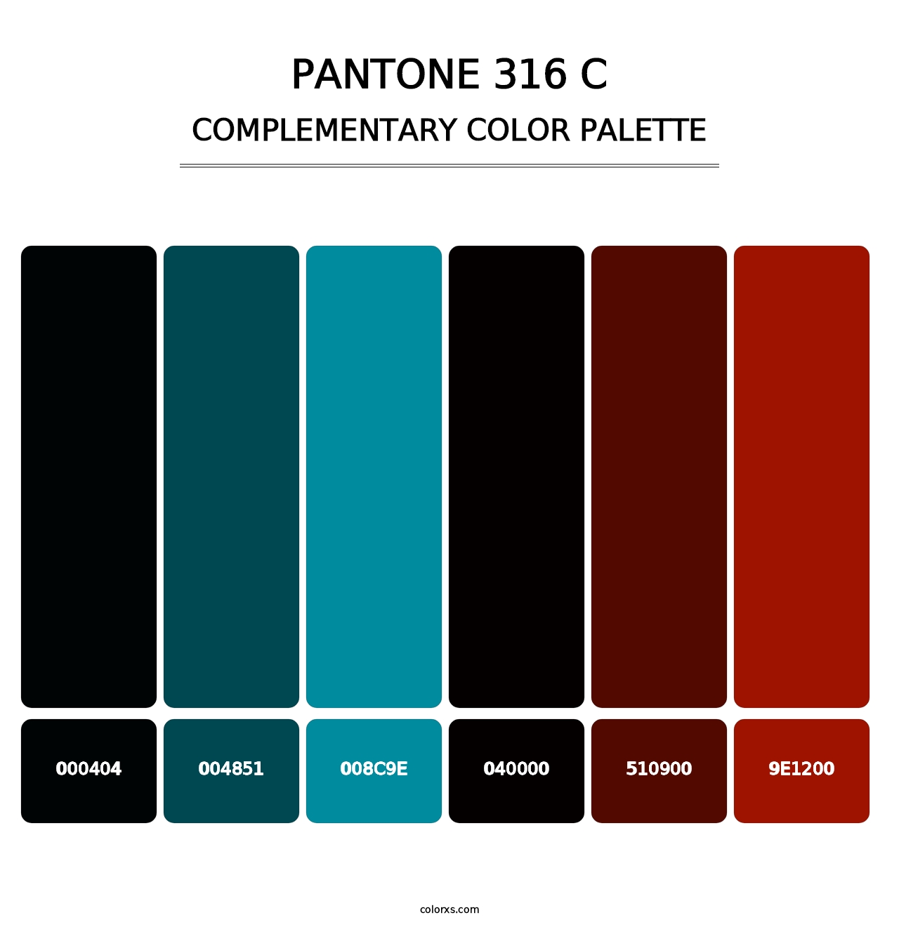PANTONE 316 C - Complementary Color Palette