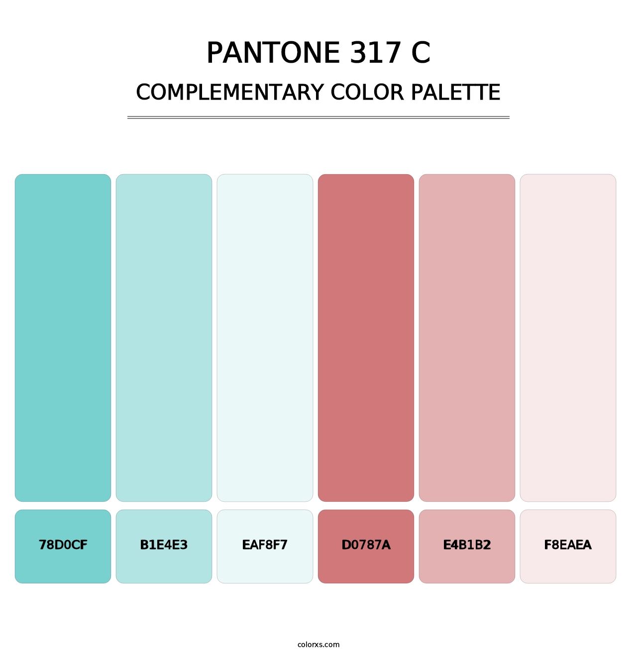 PANTONE 317 C - Complementary Color Palette