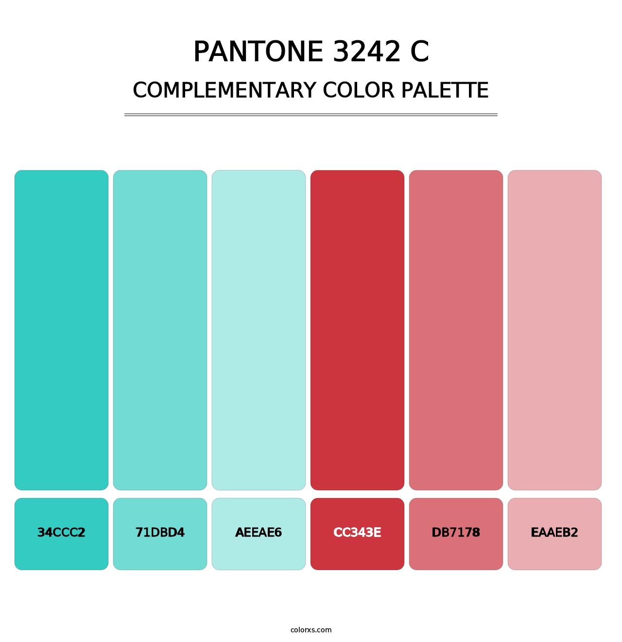 PANTONE 3242 C - Complementary Color Palette