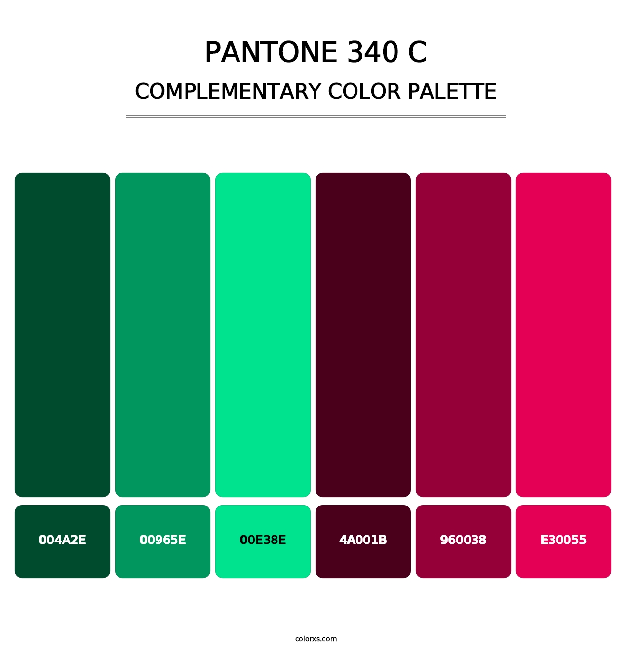 PANTONE 340 C - Complementary Color Palette