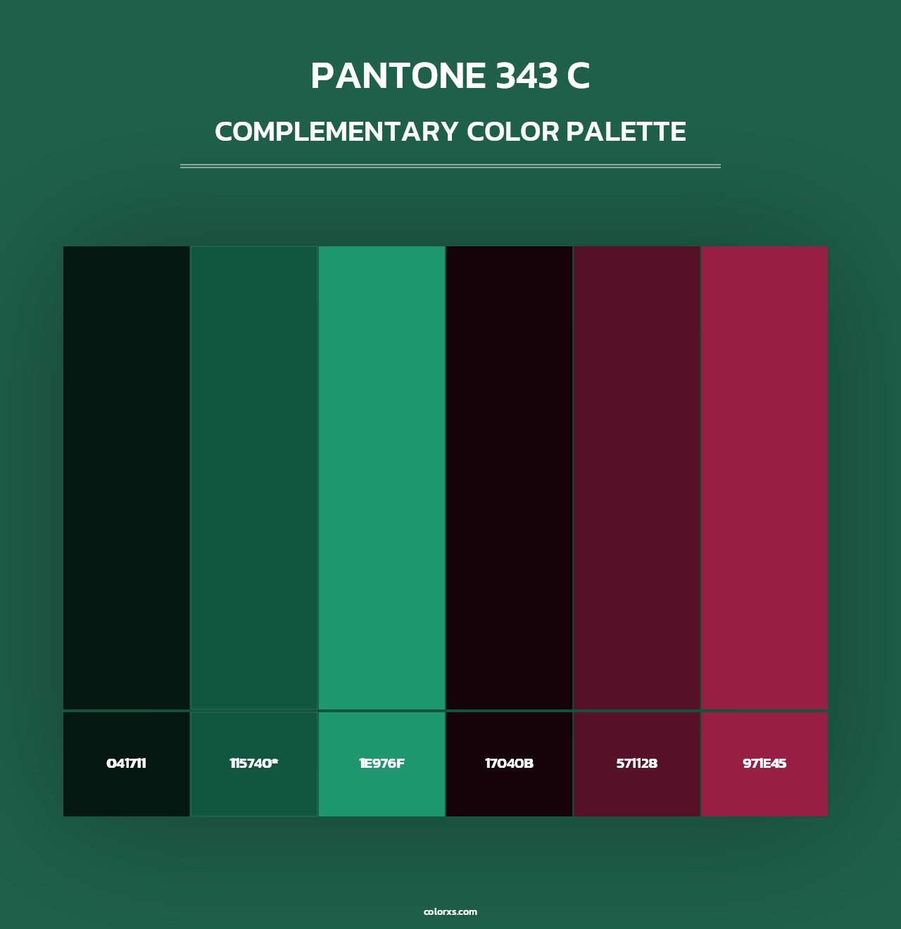 PANTONE 343 C - Complementary Color Palette