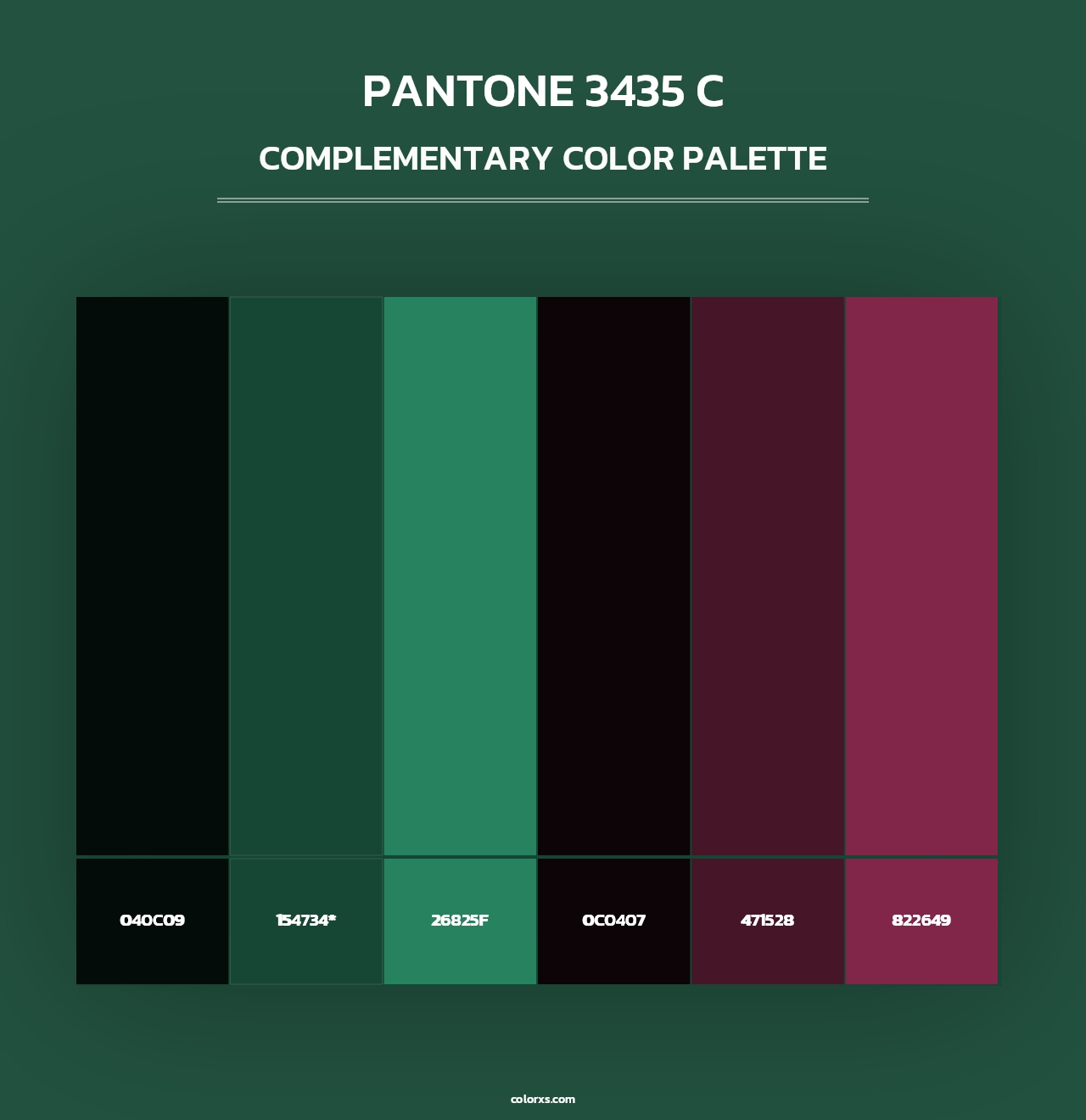 PANTONE 3435 C - Complementary Color Palette