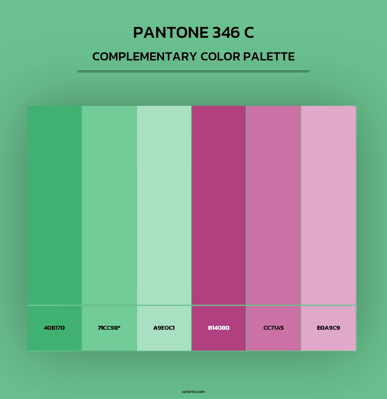 PANTONE 346 C - Complementary Color Palette