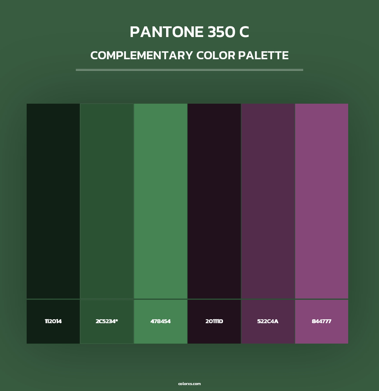 PANTONE 350 C - Complementary Color Palette