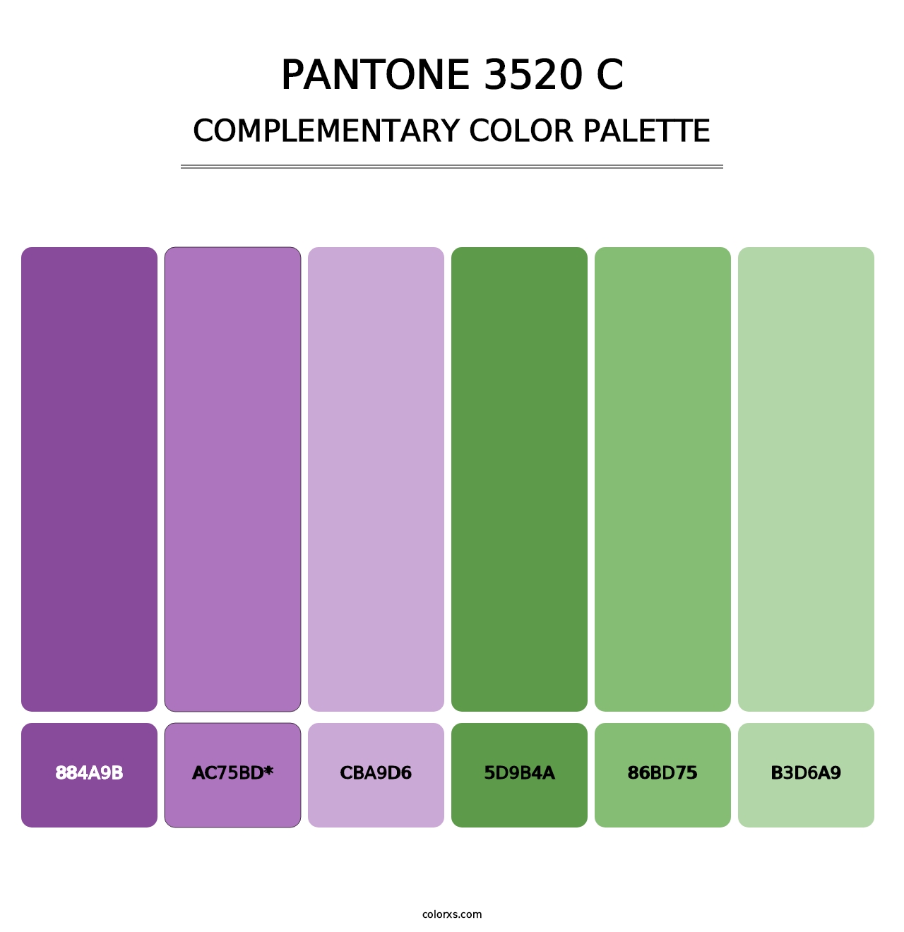 PANTONE 3520 C - Complementary Color Palette