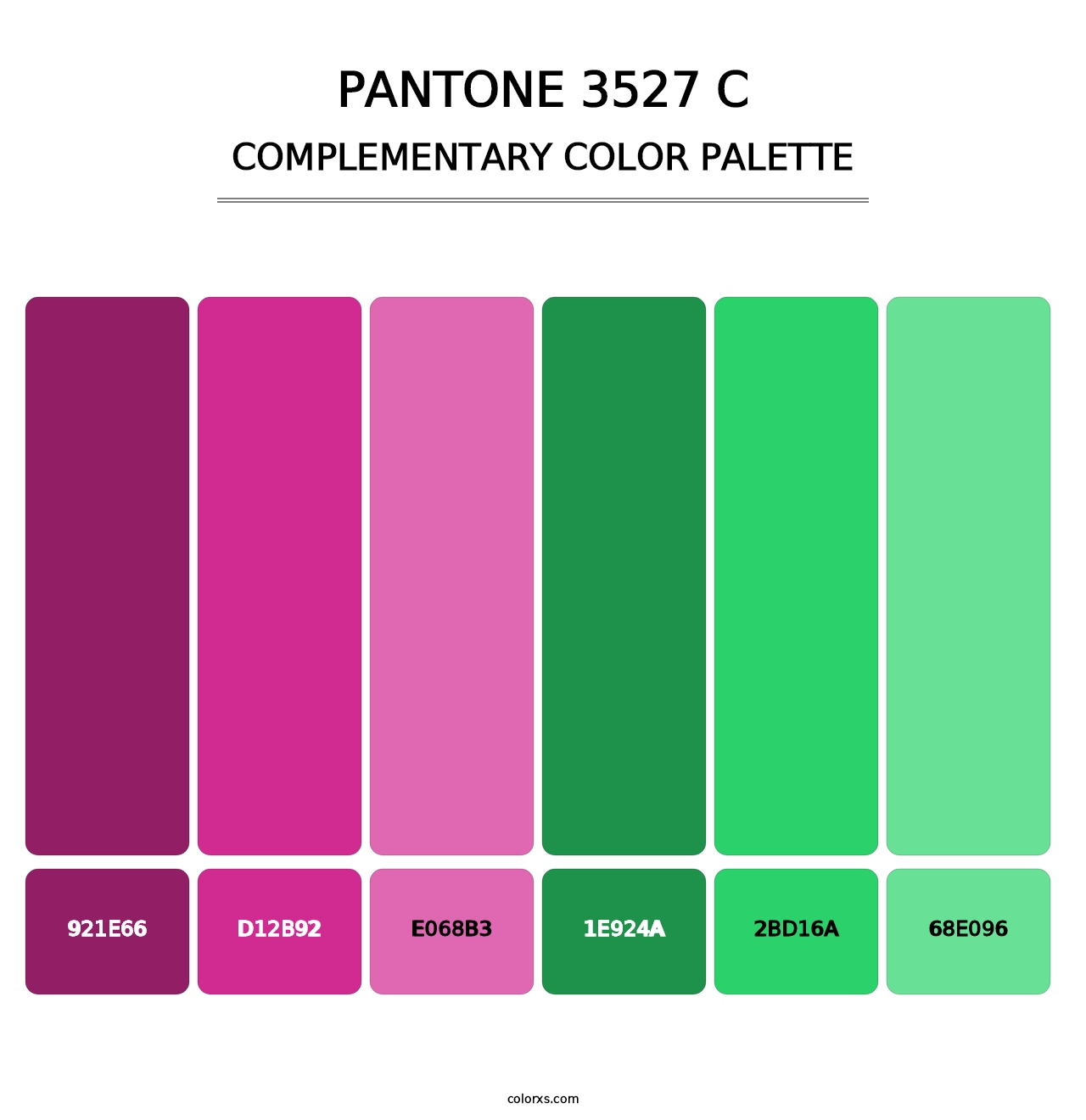 PANTONE 3527 C - Complementary Color Palette