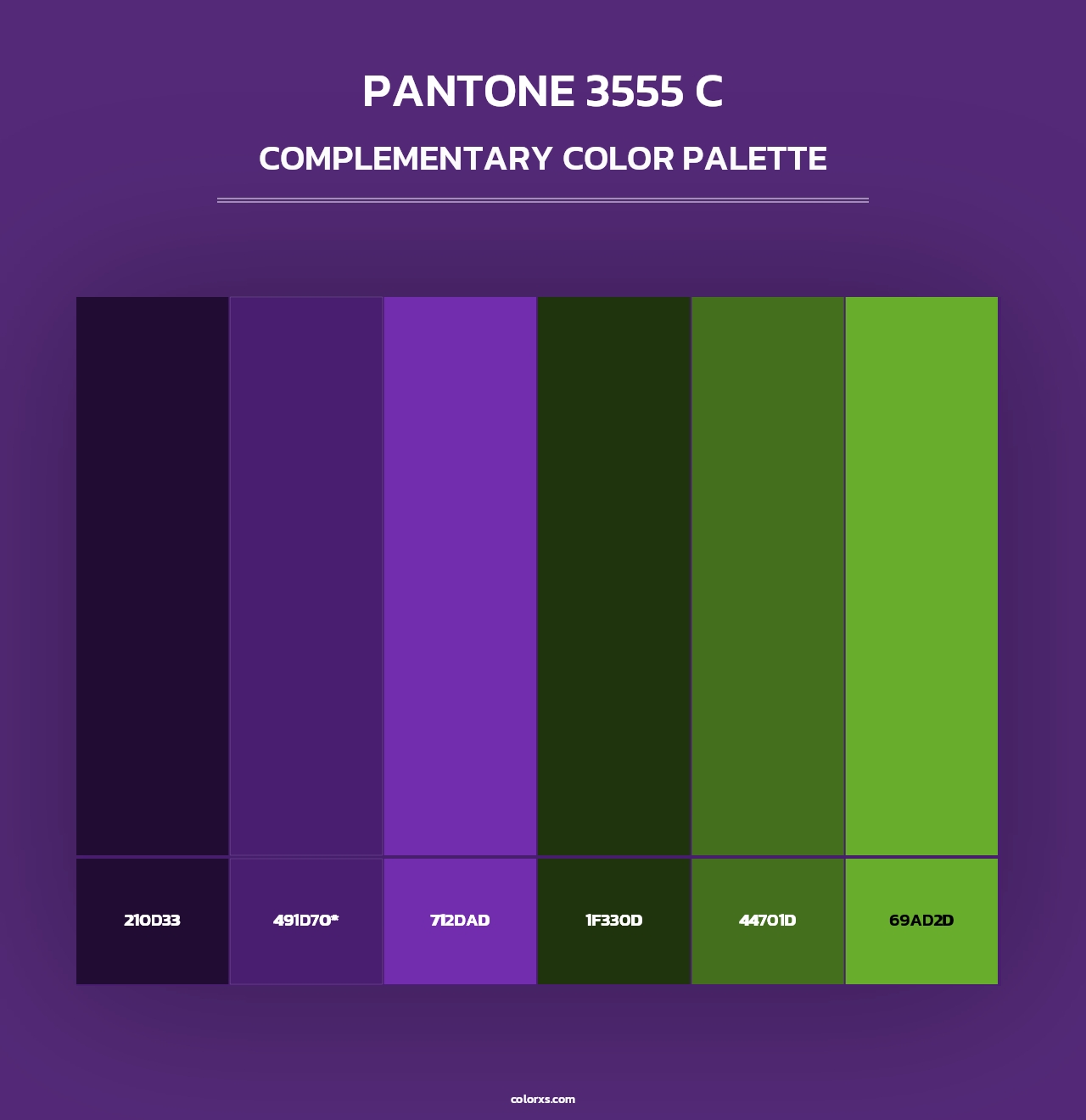 PANTONE 3555 C - Complementary Color Palette