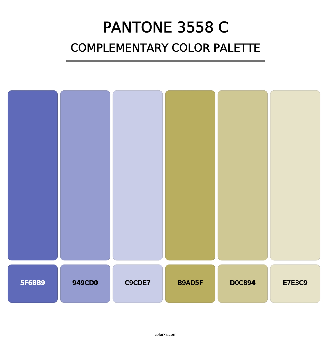 PANTONE 3558 C - Complementary Color Palette