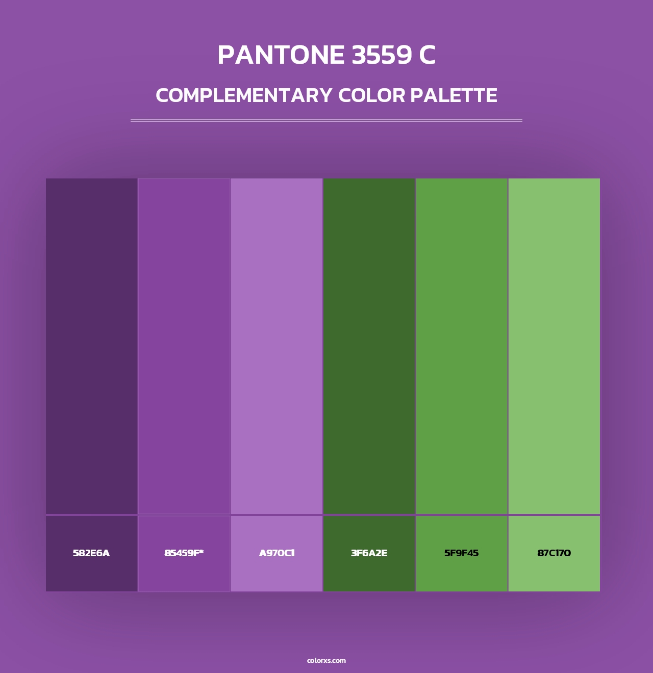 PANTONE 3559 C - Complementary Color Palette