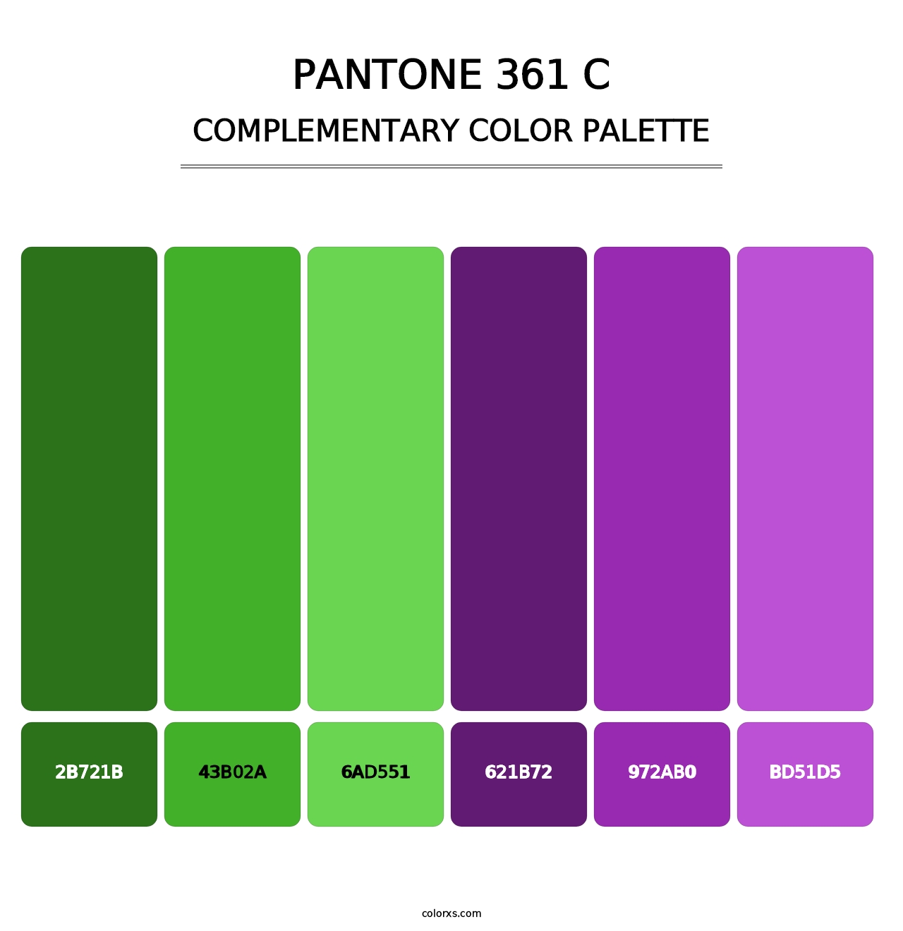 PANTONE 361 C - Complementary Color Palette