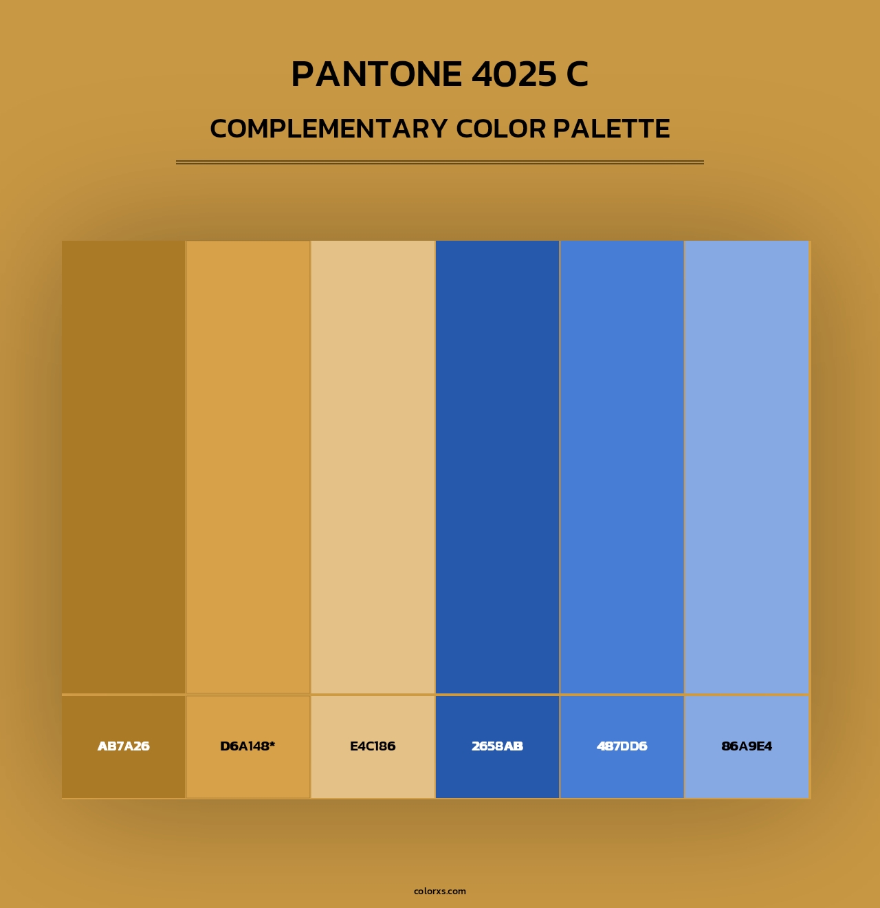 PANTONE 4025 C - Complementary Color Palette