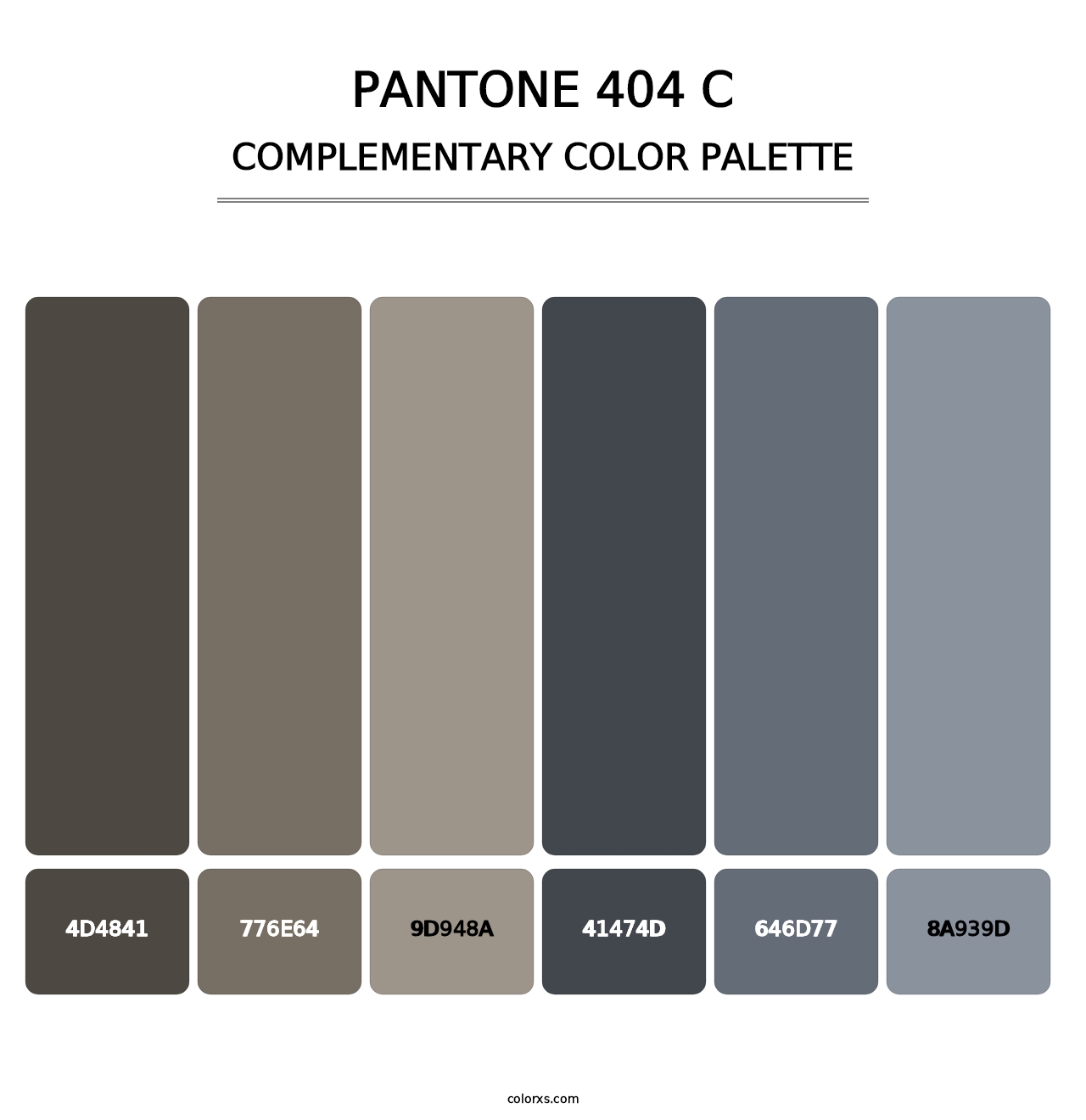 PANTONE 404 C - Complementary Color Palette