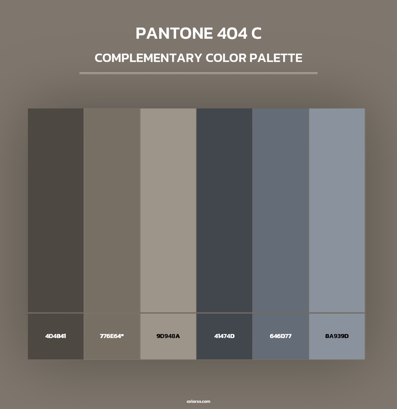 PANTONE 404 C - Complementary Color Palette