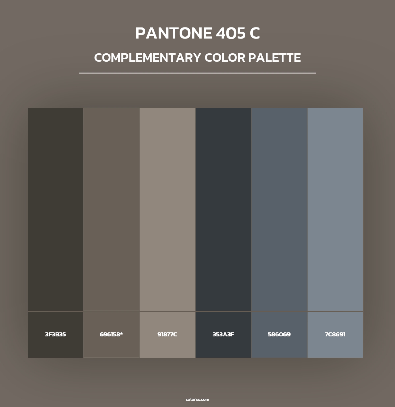 PANTONE 405 C - Complementary Color Palette