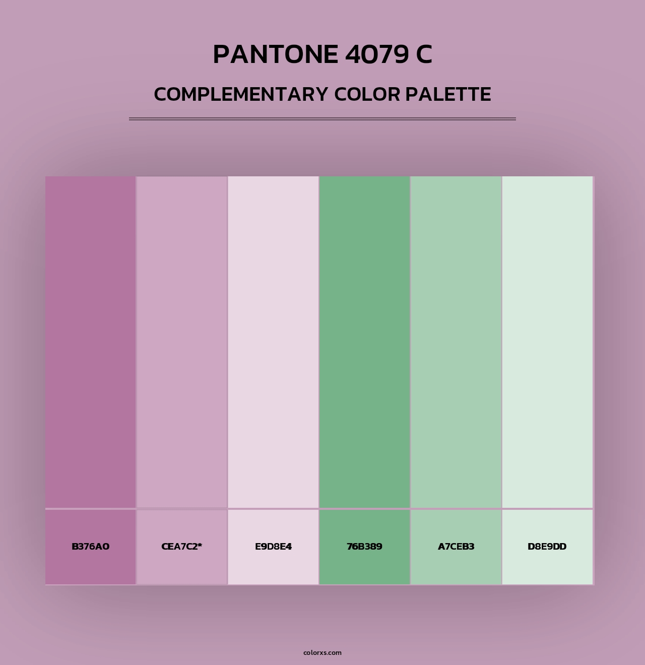 PANTONE 4079 C - Complementary Color Palette