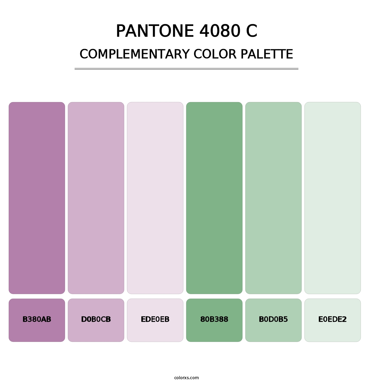 PANTONE 4080 C - Complementary Color Palette